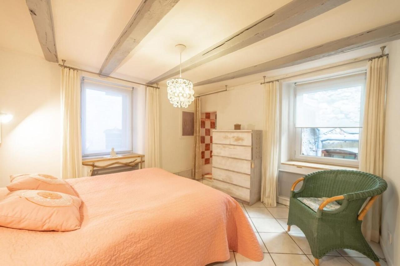Apartment Classified 3 Stars Located In The Heart Of The Old Town Annecy Luaran gambar